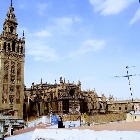 ¡en Frente De La Giralda-catedral! Appartement *
